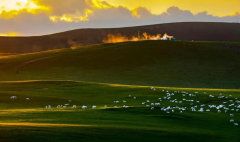 夏季高溫，氣象站全力應對森林草原防火形勢