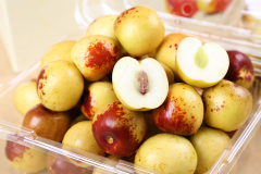 冬棗變夏棗，氣象站發(fā)展特色農(nóng)業(yè)