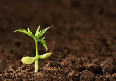 土壤墑情為什么會(huì)被稱(chēng)為農(nóng)情之魂？